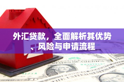 普洱外汇贷款，全面解析其优势、风险与申请流程