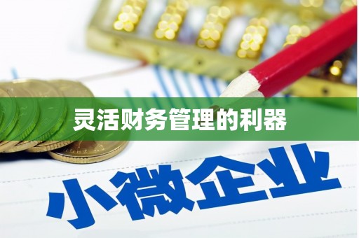 普洱灵活财务管理的利器