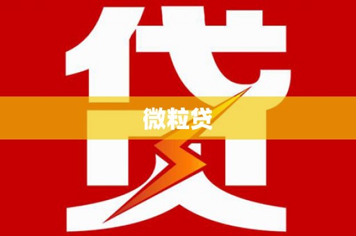 普洱微粒贷