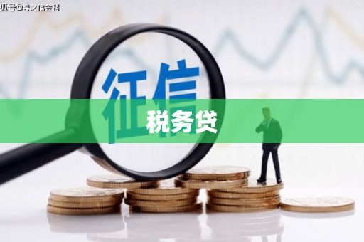普洱税务贷