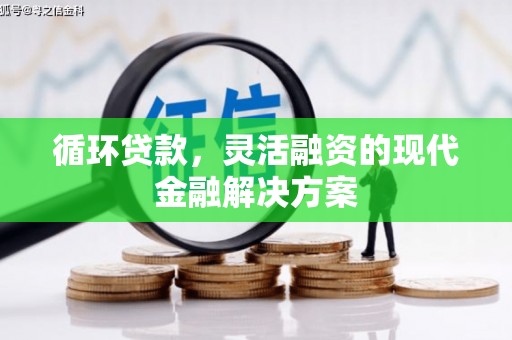 普洱循环贷款，灵活融资的现代金融解决方案