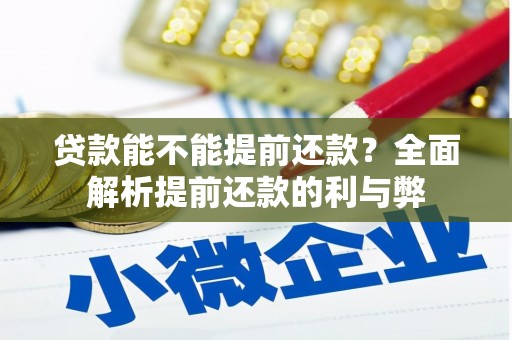普洱贷款能不能提前还款？全面解析提前还款的利与弊