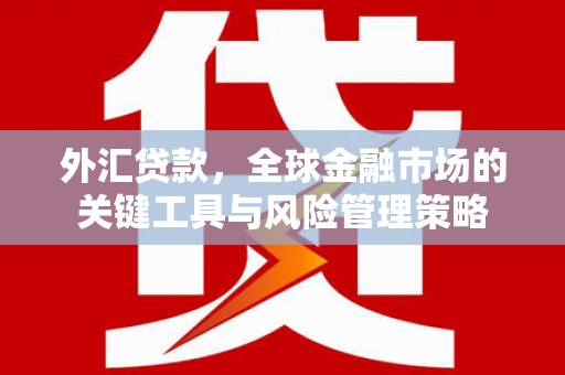 普洱外汇贷款，全球金融市场的关键工具与风险管理策略