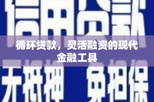 普洱循环贷款，灵活融资的现代金融工具