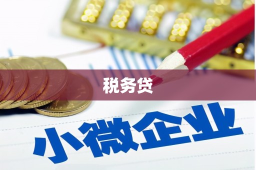 普洱税务贷