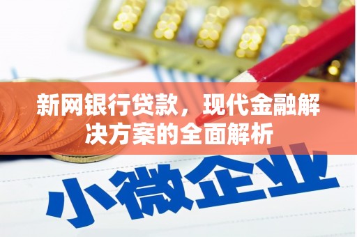 普洱新网银行贷款，现代金融解决方案的全面解析