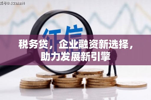 普洱税务贷，企业融资新选择，助力发展新引擎