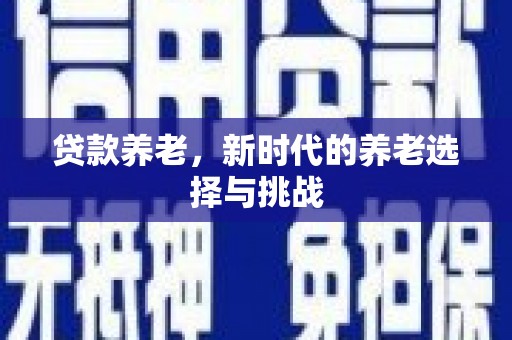 普洱贷款养老，新时代的养老选择与挑战