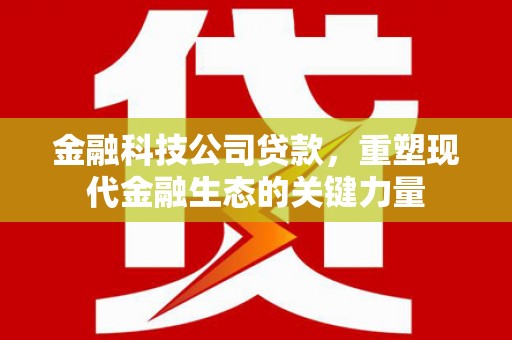 普洱金融科技公司贷款，重塑现代金融生态的关键力量