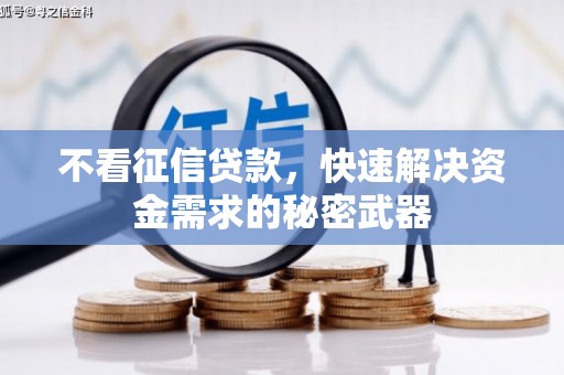 普洱不看征信贷款，快速解决资金需求的秘密武器