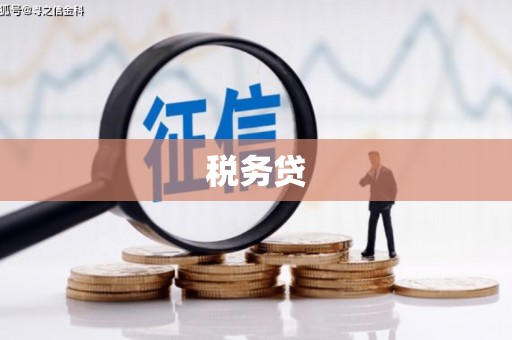 普洱税务贷