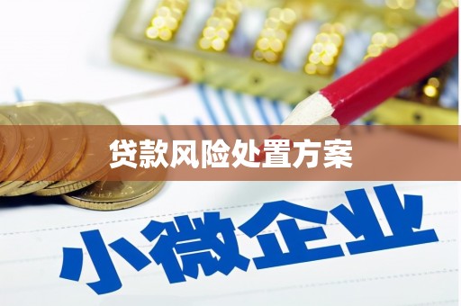 普洱贷款风险处置方案