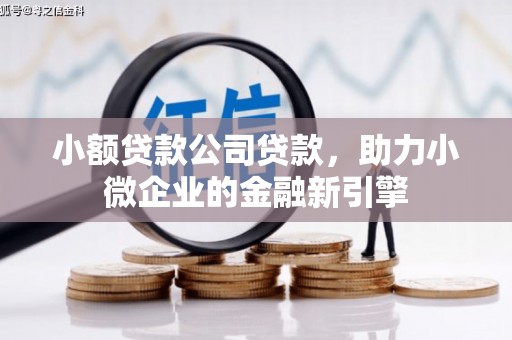 普洱小额贷款公司贷款，助力小微企业的金融新引擎
