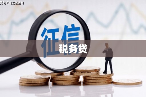 普洱税务贷