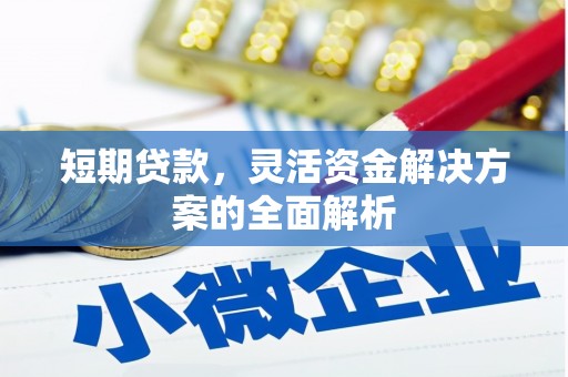 普洱短期贷款，灵活资金解决方案的全面解析