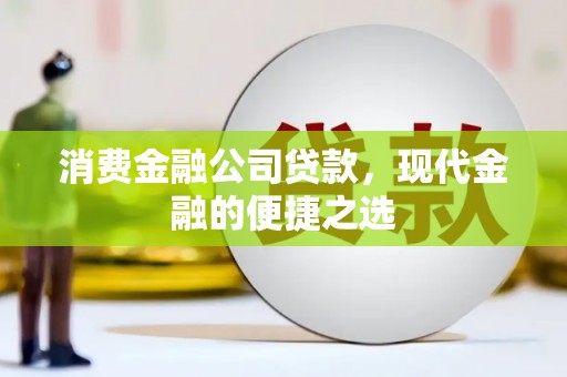 普洱消费金融公司贷款，现代金融的便捷之选