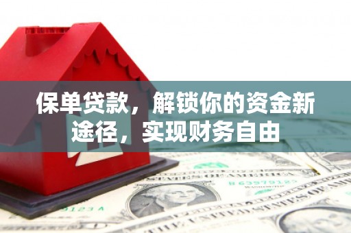 普洱保单贷款，解锁你的资金新途径，实现财务自由