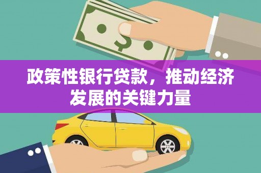 普洱政策性银行贷款，推动经济发展的关键力量