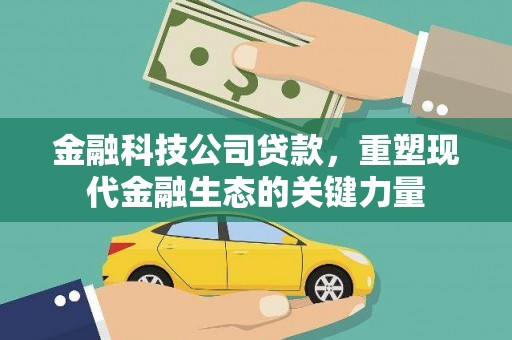 普洱金融科技公司贷款，重塑现代金融生态的关键力量