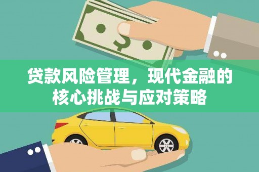 普洱贷款风险管理，现代金融的核心挑战与应对策略