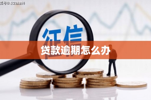 普洱贷款逾期怎么办