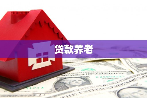 普洱贷款养老