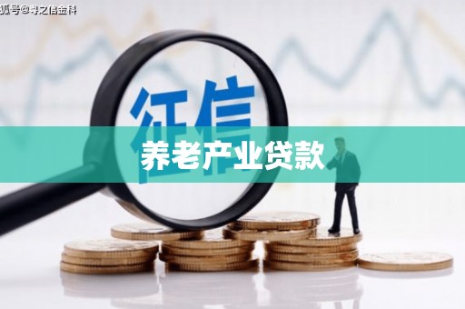 普洱养老产业贷款