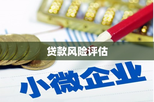 普洱贷款风险评估