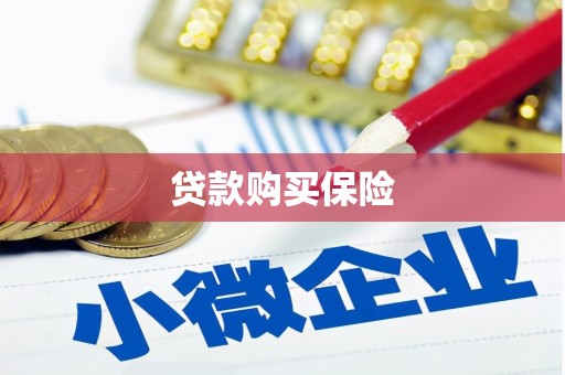 普洱贷款购买保险