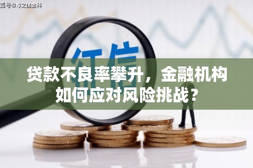 普洱贷款不良率攀升，金融机构如何应对风险挑战？