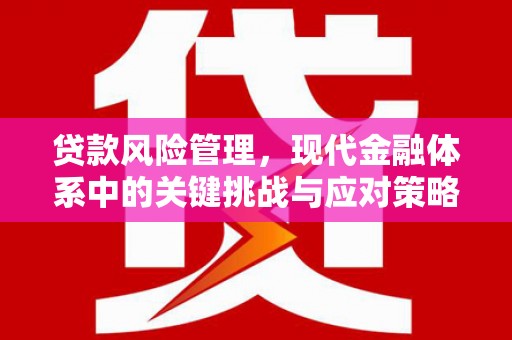 普洱贷款风险管理，现代金融体系中的关键挑战与应对策略