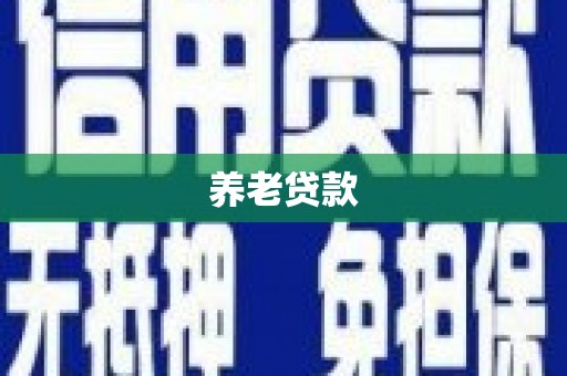 普洱养老贷款