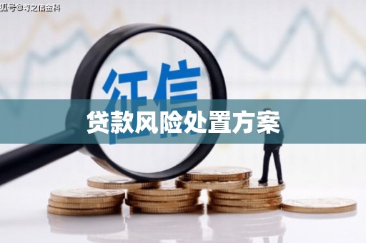 普洱贷款风险处置方案