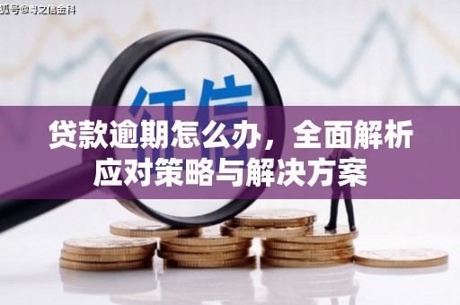 普洱贷款逾期怎么办，全面解析应对策略与解决方案