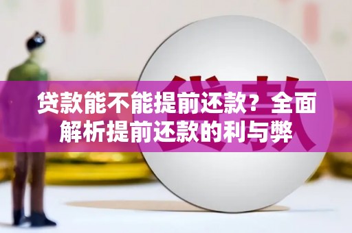 普洱贷款能不能提前还款？全面解析提前还款的利与弊